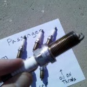 tacoma_plug_2