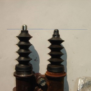 DSC05560