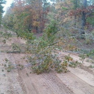 Decided to pull this sucker out of the road after the storm we had last nig