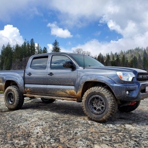 looks good on rocks and mud