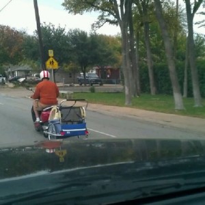 WTF, dude is towing his pug around in a bike stroller with a moped. Poor do