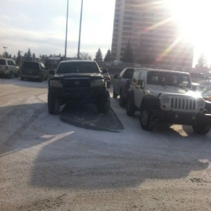 livee5fFAn