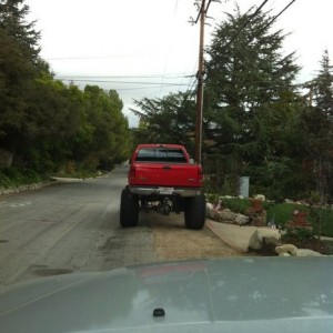 On of my neighbors. Will he ever learn ?
