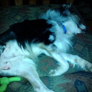 Pic of the missing leg. Sent from my Samsung Transform?