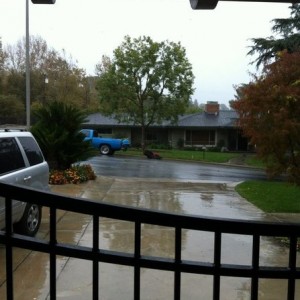 Can't quite figure my neighbors Gardner out? It raining and he is over