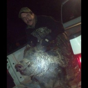 Pig my dad shot last nugjt