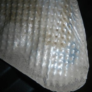 DSCN09282