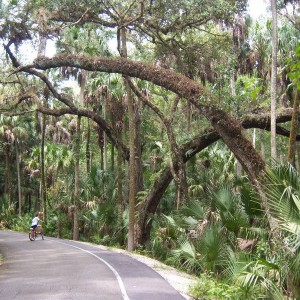 Highland Hammocks SP.