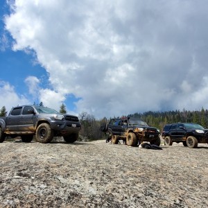 the crew
