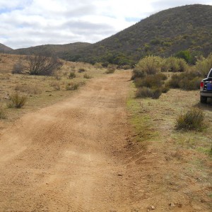 baja 1000 2011