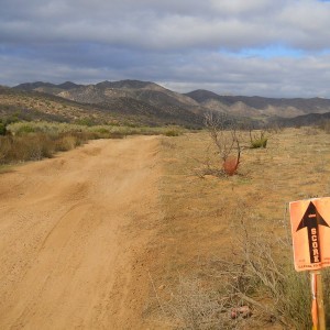 baja 1000 2011