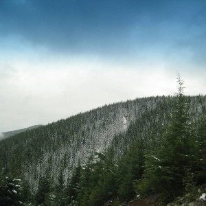 cowichan 2 carmanah