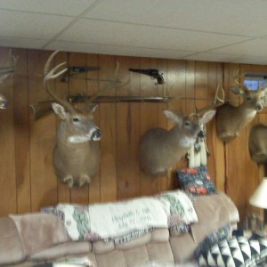 Its the most wonderful time of the year!!!