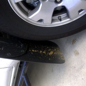 First mud on my new Taco. Well considering I was in a dairy farm's dri