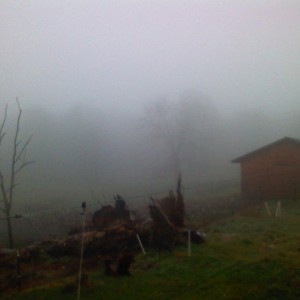 Foggy?