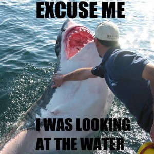 excuse