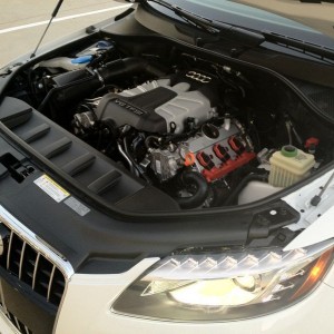 Dude Audi's have the cleanest and prettiest engine bay