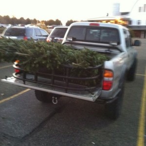 All loaded up with three Xmas trees!