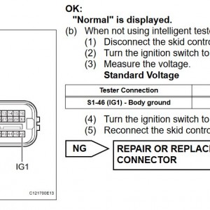 Skid Control IG1 Pin