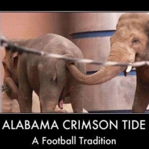 Roll_Tide1