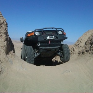 Ocotillo wells