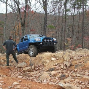 Uwharrie NF, 11/19/11