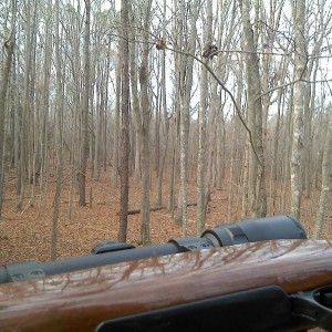 A bad day of hunting is better then a great day at work.