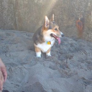 2011-09-18_15-26-18_116