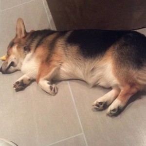 2011-11-10_21-00-39_35