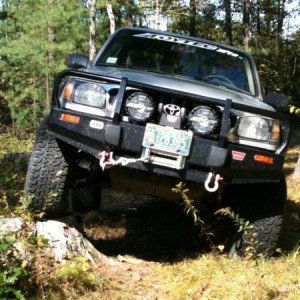 Out in the Woods