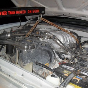motor mounts