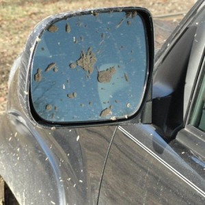 Mirror_Aftermath