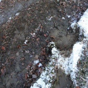 Stuck_Site_Wall
