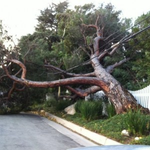 No wonder I have no power