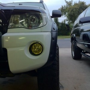Trex3 eyelids