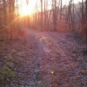 Beautiful day to be in the woods.