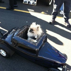 John Force Car Show