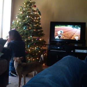 Decorating the tree.