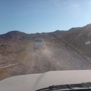 Tocobo