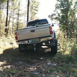 View of flexed back