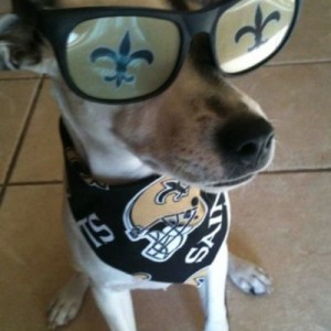 SAINTS FAN