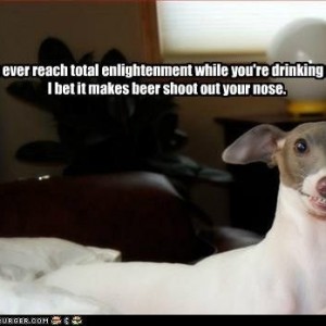 beer5