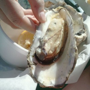Oh you perverted oyster.
