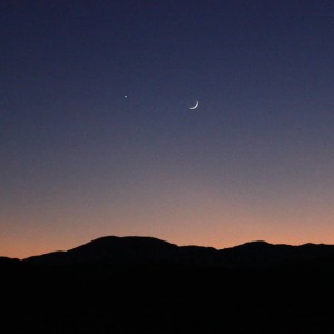 Ocotillo sunset