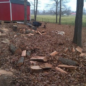Got this far now its raining