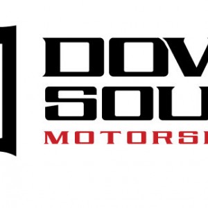 DSM "New" 2012 Logo
