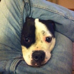 On the couch with food in my mouth, she shoves her head through...