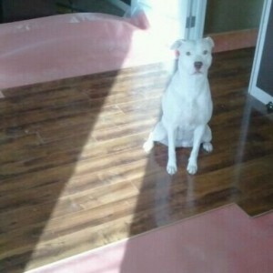 She's helping me with the floors.