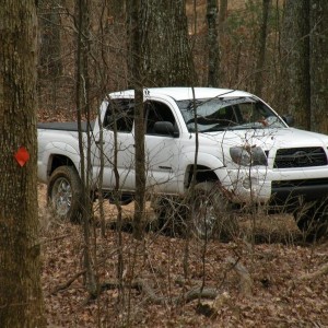 Beasley Knob