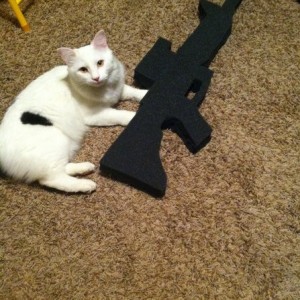 I can haz?